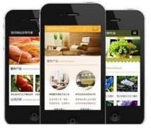 手機網(wǎng)站怎樣做才更有效果？如何做優(yōu)化？