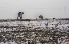 厲害了wuli青島！厲害了wuli紅島！！