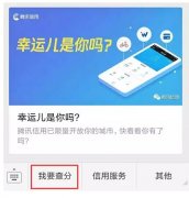 騰訊信用分全國(guó)公測(cè)，查了一下之后懵逼了。。