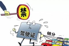 青島的朋友們注意啦，9月起禁止使用他人駕照銷