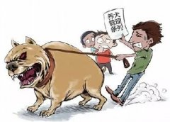 青島10月份一大波勁爆消息，你知道嗎？