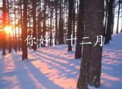 抓住2016年的尾巴給自己充充電！12月，加油！