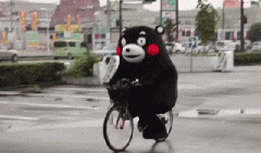 青島也有“共享單車”啦！說騎就騎的旅程GO